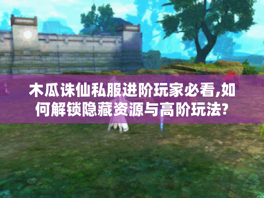 木瓜诛仙私服进阶玩家必看,如何解锁隐藏资源与高阶玩法?