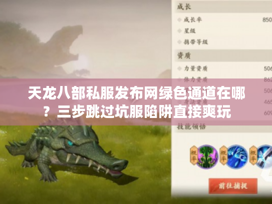 天龙八部私服发布网绿色通道在哪？三步跳过坑服陷阱直接爽玩