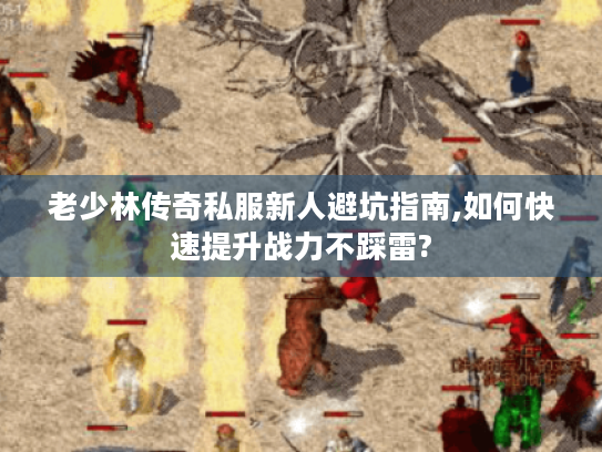 老少林传奇私服新人避坑指南,如何快速提升战力不踩雷? 老少林传奇私服新人避坑指南,如何快速提升战力不踩雷?
