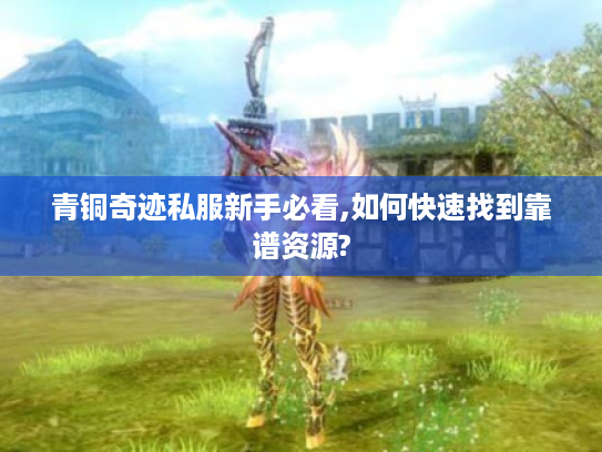 青铜奇迹私服新手必看,如何快速找到靠谱资源?