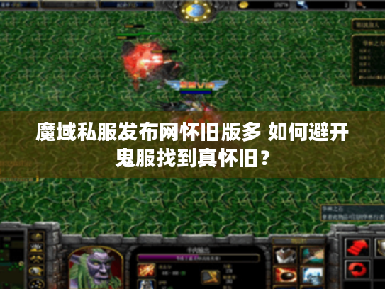 魔域私服发布网怀旧版多 如何避开鬼服找到真怀旧？