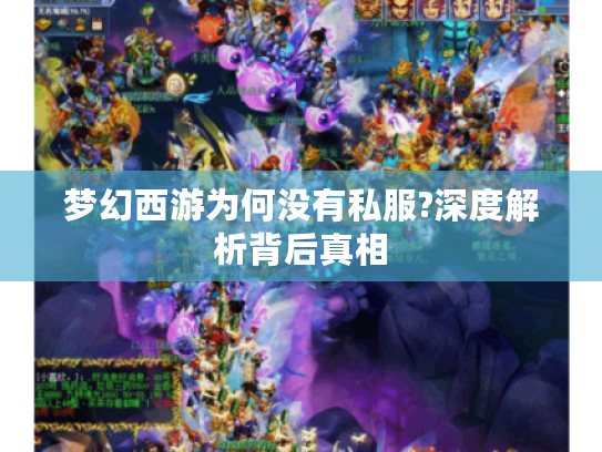 梦幻西游为何没有私服?深度解析背后真相