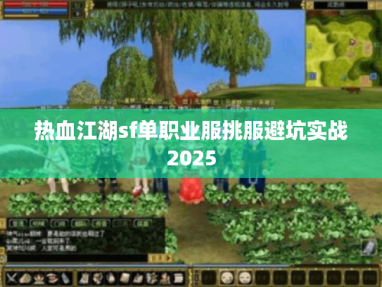 热血江湖sf单职业服挑服避坑实战2025