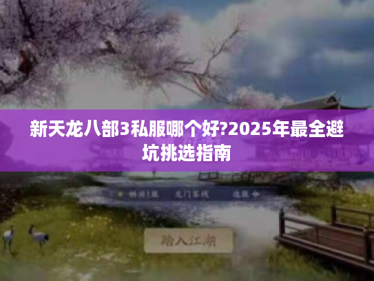 新天龙八部3私服哪个好?2025年最全避坑挑选指南