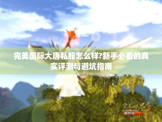 完美国际大唐私服怎么样?新手必看的真实评测与避坑指南