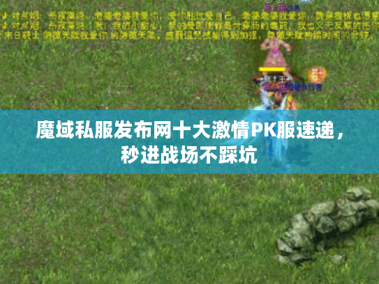 魔域私服发布网十大激情PK服速递，秒进战场不踩坑