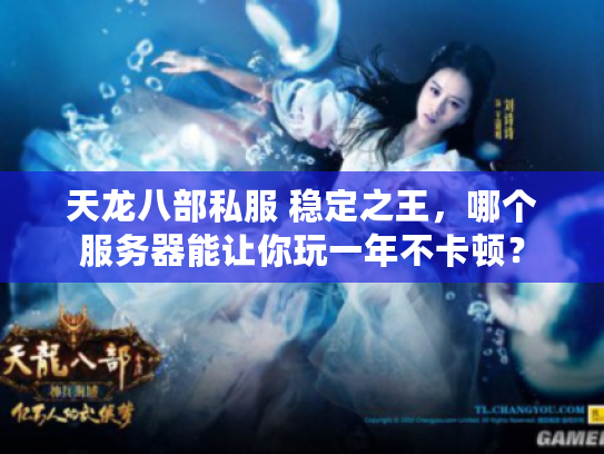 天龙八部私服 稳定之王，哪个服务器能让你玩一年不卡顿？