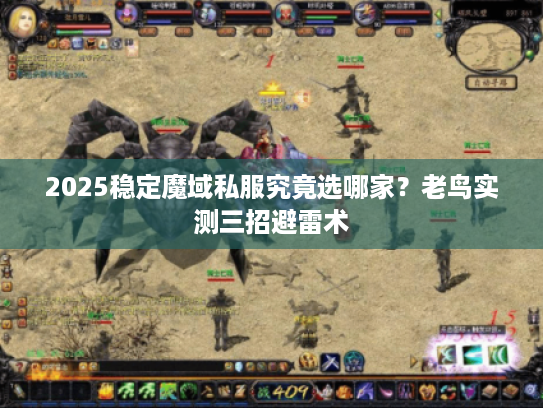2025稳定魔域私服究竟选哪家？老鸟实测三招避雷术