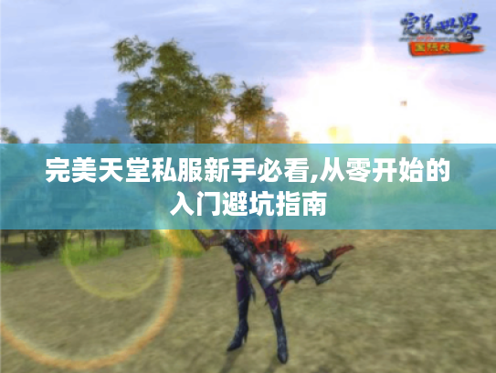 完美天堂私服新手必看,从零开始的入门避坑指南