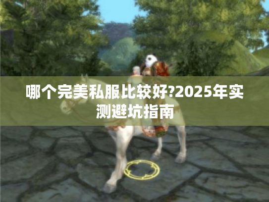 哪个完美私服比较好?2025年实测避坑指南