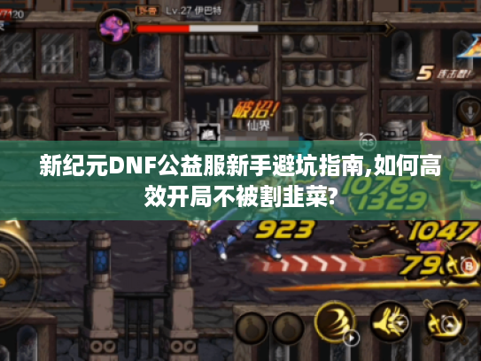 新纪元DNF公益服新手避坑指南,如何高效开局不被割韭菜? 新纪元DNF公益服新手避坑指南,如何高效开局不被割韭菜?