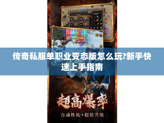 传奇私服单职业变态版怎么玩?新手快速上手指南