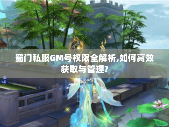 蜀门私服GM号权限全解析,如何高效获取与管理?