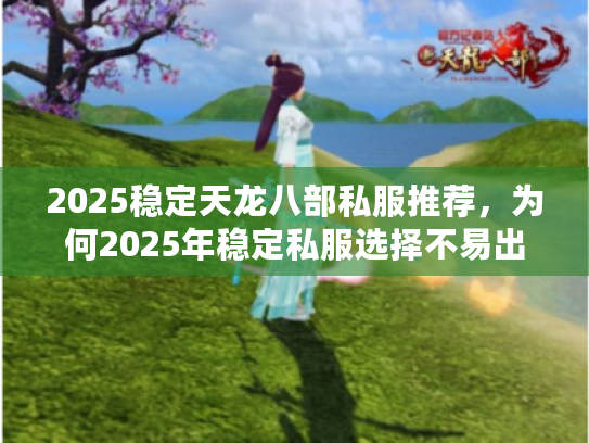 2025稳定天龙八部私服推荐，为何2025年稳定私服选择不易出错？