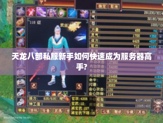 天龙八部私服新手如何快速成为服务器高手?