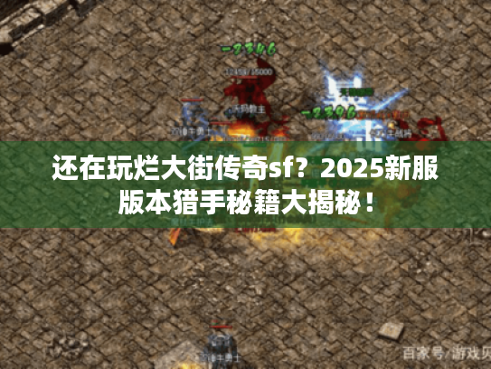 还在玩烂大街传奇sf？2025新服版本猎手秘籍大揭秘！