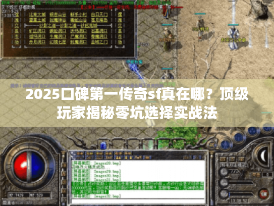 2025口碑第一传奇sf真在哪？顶级玩家揭秘零坑选择实战法