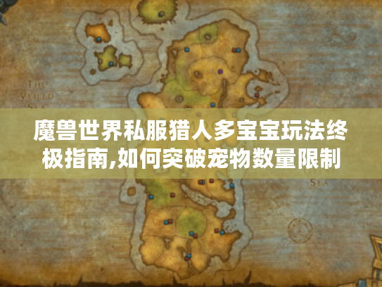 魔兽世界私服猎人多宝宝玩法终极指南,如何突破宠物数量限制?