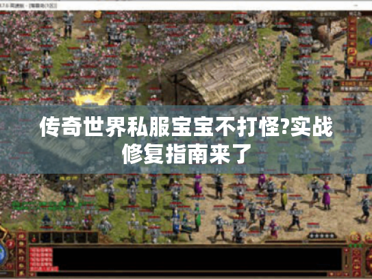 传奇世界私服宝宝不打怪?实战修复指南来了