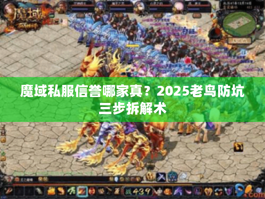 魔域私服信誉哪家真？2025老鸟防坑三步拆解术