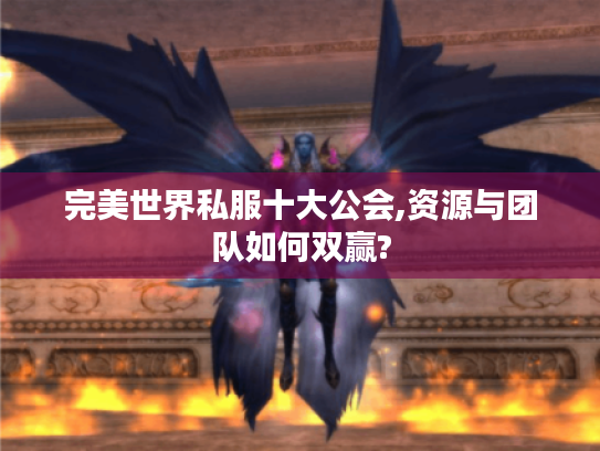 完美世界私服十大公会,资源与团队如何双赢? 完美世界私服十大公会,资源与团队如何双赢?