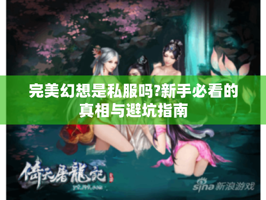 完美幻想是私服吗?新手必看的真相与避坑指南
