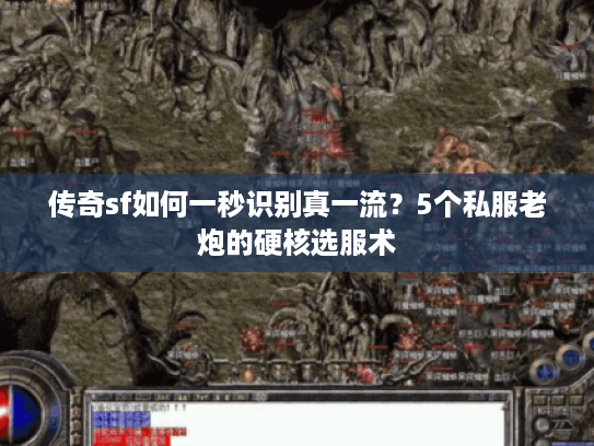 传奇sf如何一秒识别真一流？5个私服老炮的硬核选服术