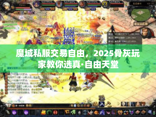 魔域私服交易自由，2025骨灰玩家教你选真·自由天堂