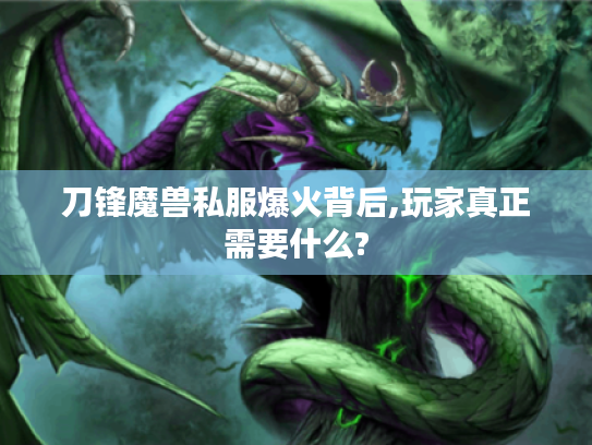 刀锋魔兽私服爆火背后,玩家真正需要什么?