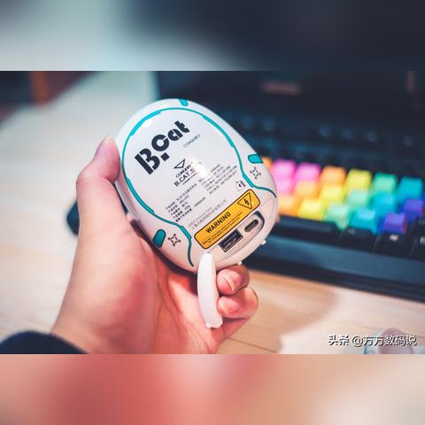 《黄油猫》手游：烧脑解谜，可爱升级！