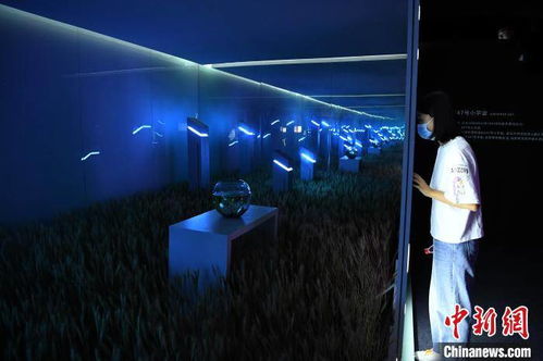 绝区零评测:视觉盛宴,音效沉浸,操作流畅? 绝区零评测:视觉盛宴,音效沉浸,操作流畅?