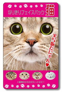 猫娘吸猫新玩法，猫之城有搞头吗？