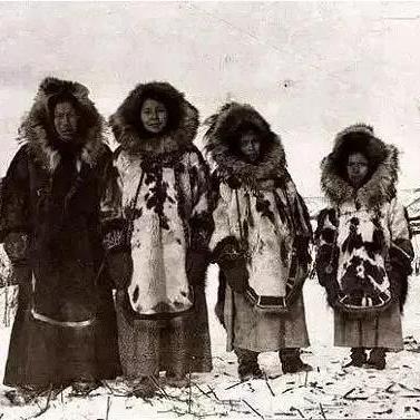 小动物之星测评：新战术体验，如何颠覆传统？