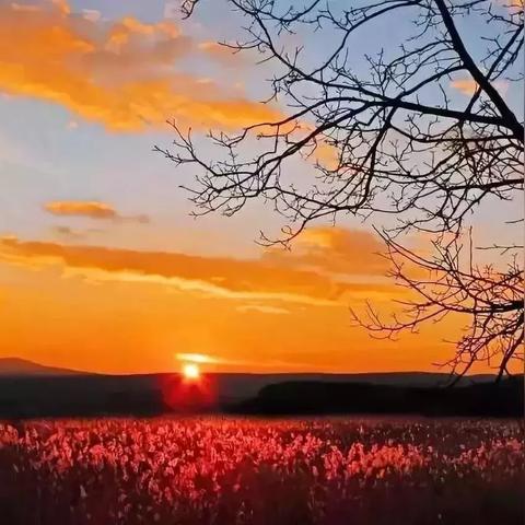 《浩天奇缘2》二测：奇缘相遇，体验升级！