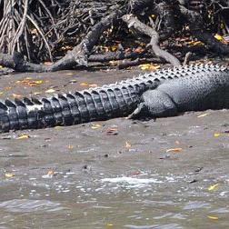 《吞食天地5》评测：重温经典，续写青春，新版本有何不同？