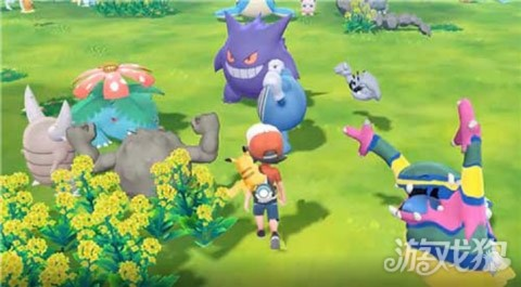 口袋暴龙评测：异彩之旅，训练家如何突破？