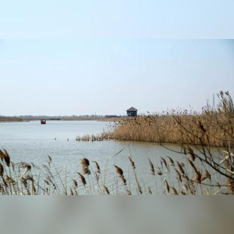 《自由之战2》男神女神救胖麋鹿,圣诞奇遇! 《自由之战2》男神女神救胖麋鹿,圣诞奇遇!