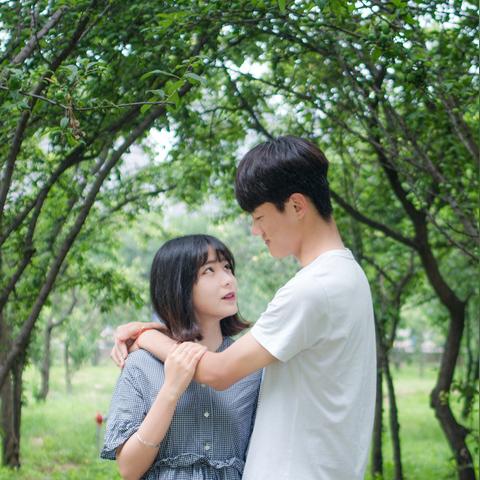 《恋人之森》评测:再相遇,守护你,如何? 《恋人之森》评测:再相遇,守护你,如何?