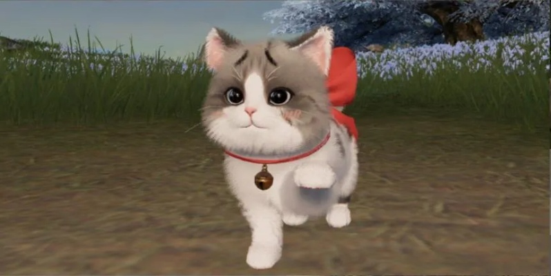 九阴真经3D萌猫骑行，新版侠客行如何升级？