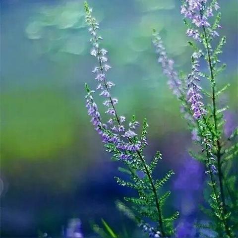 《放开那三国2》评测：续作经典，王名不负？