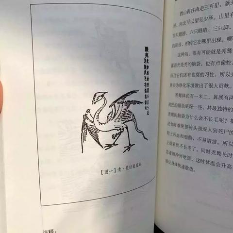 《山海经》手游评测：神话新解，颠覆传统？