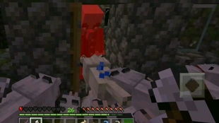 我的世界三级龙巢VS四级龙巢：等级大揭秘！