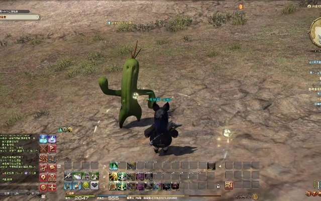 FF14演技教材优雅仙人刺攻略:快速习得方法揭秘 FF14演技教材优雅仙人刺攻略:快速习得方法揭秘