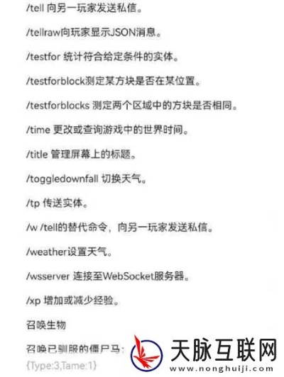 我的世界夜视永久代码详解