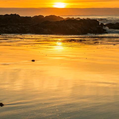 《沉没之城：复刻版》虚幻5引擎升级，免费核心更新