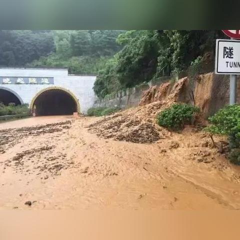 《动物井》制作人曝:新游研发仅需X月?破解耗时痛点 《动物井》制作人曝:新游研发仅需X月?破解耗时痛点
