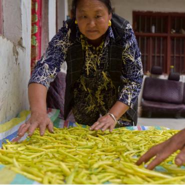 《半条命》曾滞销 年度游戏营销显奇效
