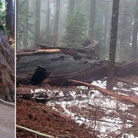 《暗黑风暴升级!N卡新驱动助《毁灭战士:黑暗时代》性能翻倍揭秘》 《暗黑风暴升级!N卡新驱动助《毁灭战士:黑暗时代》性能翻倍揭秘》