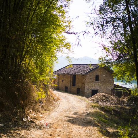 桃源记2五一福利兑换码大放送 桃源记2五一福利兑换码大放送