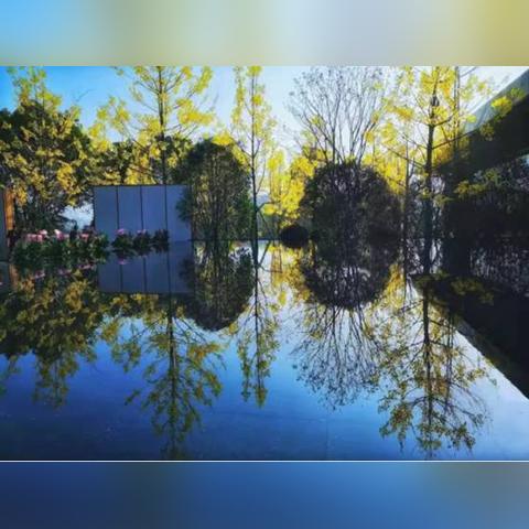 桃源记2食卷速抢攻略：揭秘隐藏获取技巧，独家分享！